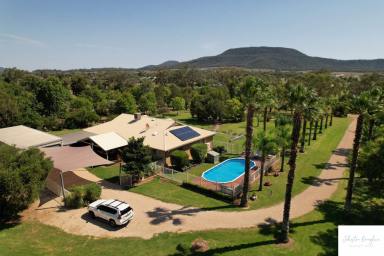Farm Sold - NSW - Gunnedah - 2380 - OUTSTANDING ACREAGE PROPERTY CLOSE TO TOWN  (Image 2)