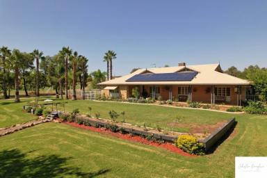 Farm Sold - NSW - Gunnedah - 2380 - OUTSTANDING ACREAGE PROPERTY CLOSE TO TOWN  (Image 2)