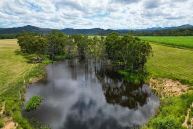 Farm Sold - QLD - Pinnacle - 4741 - PIONEER VALLEY - 272 GRAZING ACRES  (Image 2)