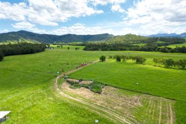 Farm Sold - QLD - Pinnacle - 4741 - PIONEER VALLEY - 272 GRAZING ACRES  (Image 2)