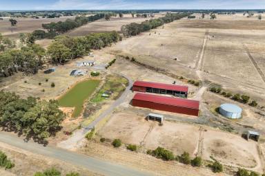 Farm Sold - VIC - Bagshot North - 3551 - AN ACREAGE FOR ANIMAL LOVERS  (Image 2)