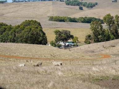 Farm For Sale - VIC - Paschendale - 3315 - Paschendale 232.27 Ac - 94 Ha approx.  (Image 2)