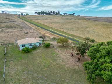 Farm For Sale - VIC - Paschendale - 3315 - Paschendale 232.27 Ac - 94 Ha approx.  (Image 2)