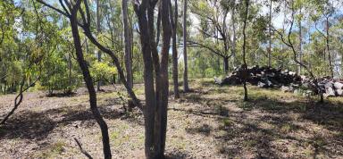 Farm Sold - QLD - St Kilda - 4671 - Thirty acre bush block in a great area  (Image 2)