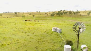 Farm Sold - QLD - Dallarnil - 4621 - 88 ACRES, SHED, BORE AND BREATHTAKING VIEWS  (Image 2)