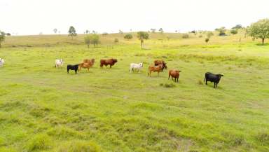 Farm Sold - QLD - Dallarnil - 4621 - 88 ACRES, SHED, BORE AND BREATHTAKING VIEWS  (Image 2)