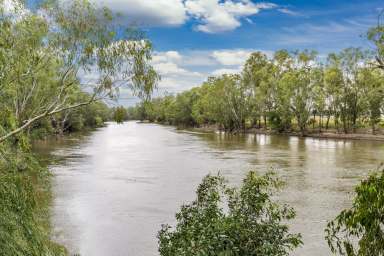 Farm For Sale - NSW - Wagga Wagga - 2650 - Rural Lifestyle Opportunity on the Murrumbidgee River  (Image 2)