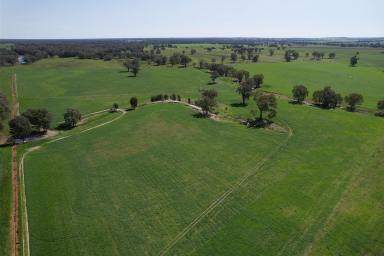 Farm For Sale - NSW - Wagga Wagga - 2650 - Rural Lifestyle Opportunity on the Murrumbidgee River  (Image 2)