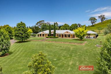 Farm Sold - NSW - Picton - 2571 - Absolute dream acreage close to town! - 3.93 Acres  (Image 2)