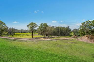 Farm Sold - NSW - Belmore River - 2440 - Iconic Landmark - 50 Hectares in the Golden Triangle of the Mid North Coast  (Image 2)