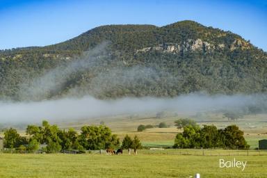Farm Sold - NSW - Doyles Creek - 2330 - PERFECT RURAL FAMILY HOME | POOL | INCREDIBLE VIEWS  (Image 2)