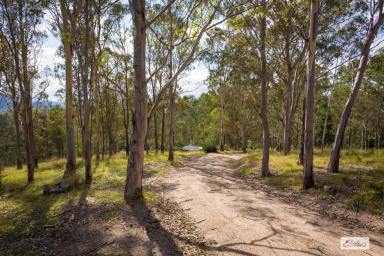 Farm Sold - NSW - Brogo - 2550 - PEACEFUL LIFESTYLE SURROUNDED BY NATURE  (Image 2)
