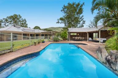 Farm Sold - QLD - Highvale - 4520 - Considering All Offers - Magnificent Family Homestead - 5 Acres, Studio, Bore, Views and More!  (Image 2)