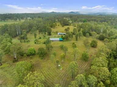 Farm Sold - QLD - Widgee - 4570 - Your Dream Countryside Sanctuary  (Image 2)