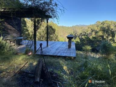 Farm Sold - NSW - Brogo - 2550 - 114 ACRES OF ABSOLUTE PRIVACY!  (Image 2)