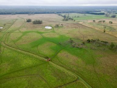 Farm For Sale - VIC - Gorae West - 3305 - Rare Opportunity  (Image 2)