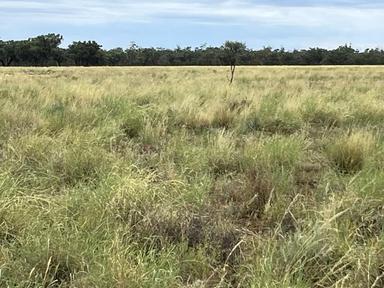 Wyandra, Wyandra QLD 4471
