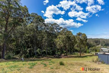 Farm For Sale - NSW - Long Beach - 2536 - Stunning 4,432m2 block ready to build your 'Dream Home' only 1min drive to the Beach !  (Image 2)