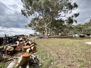 Farm Sold - NSW - Windellama - 2580 - 40 ACRES, WITH DWELLING ENTITLEMENT, SHEDS, CREEK, DAMS, RU2, SOLAR, POWER, DUAL ROAD FRONT, GRAZING, VIEWS, LOADS OF POTENTIAL  (Image 2)