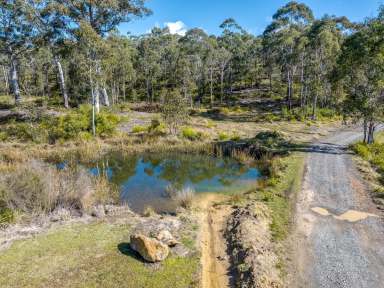 Farm For Sale - NSW - Charleys Forest - 2622 - 180 ACRE HIDDEN GEM, 4 BR, ENSUITE, GARAGE/WORKSHOP, GRAZING, DAMS, IN A PEACEFUL & TRANQUIL SETTING  (Image 2)