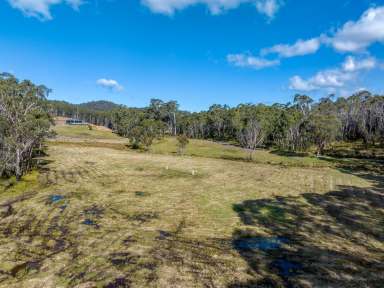 Farm For Sale - NSW - Charleys Forest - 2622 - 180 ACRE HIDDEN GEM, 4 BR, ENSUITE, GARAGE/WORKSHOP, GRAZING, DAMS, IN A PEACEFUL & TRANQUIL SETTING  (Image 2)