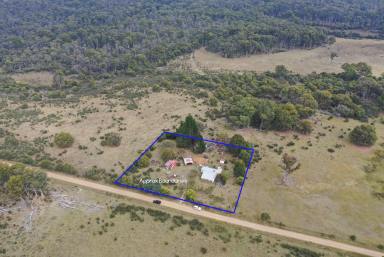 Farm Sold - TAS - Bronte Park - 7140 - The Perfect Getaway or Those Looking to Retire  (Image 2)