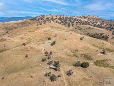 Farm Sold - VIC - Bethanga - 3691 - Outstanding parcel of strong hill grazing country. Close proximity to Albury/Wodonga and only a stone’s throw from lake Hume foreshore.  (Image 2)