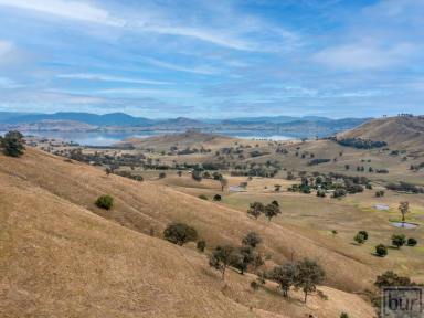Farm Sold - VIC - Bethanga - 3691 - Outstanding parcel of strong hill grazing country. Close proximity to Albury/Wodonga and only a stone’s throw from lake Hume foreshore.  (Image 2)