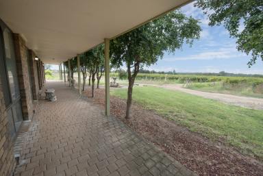 Farm Sold - VIC - Vinifera - 3591 - Lifestyle with Income  (Image 2)