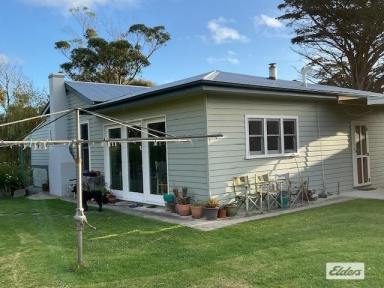 Farm Sold - TAS - Currie - 7256 - HOME, STUDIO, WORKSHOPS - ALL ON 1.778HA (approx. 4.39 acres)  (Image 2)