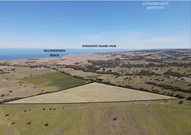 Farm Sold - SA - Waitpinga - 5211 - 30 Elevated Acres with views to Kangaroo Island  (Image 2)