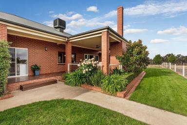 Farm Sold - VIC - Myrtle Creek - 3551 - PICTURESQUE MODERN COUNTRY LIVING  (Image 2)