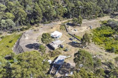 Farm For Sale - TAS - Spring Beach - 7190 - Your own escape by the Sea  (Image 2)