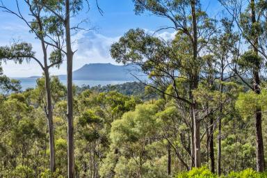 Farm For Sale - TAS - Spring Beach - 7190 - Your own escape by the Sea  (Image 2)