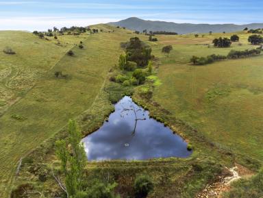 Farm Sold - VIC - Corryong - 3707 - CLOVELLY  (Image 2)