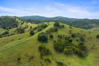 Farm For Sale - QLD - Carters Ridge - 4563 - Beautiful Blank Canvas for Building Your Dream  (Image 2)