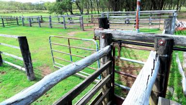 Farm Sold - QLD - Pratten - 4370 - Grazing & Lifestyle with 360 Panoramic Views  (Image 2)