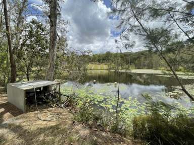 Farm Sold - QLD - Elimbah - 4516 - *****Private 6.7 Acres of a Lifestyle Homesite*****  (Image 2)