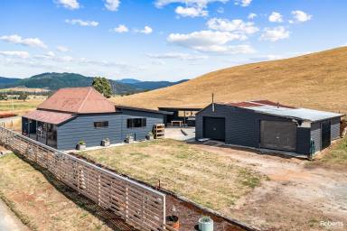 Farm Sold - TAS - Springfield - 7260 - A Little Bit of Country!  (Image 2)