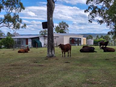 Farm Sold - QLD - Blackbutt - 4314 - Relax on 159 Aces with a Weekender set up.  (Image 2)