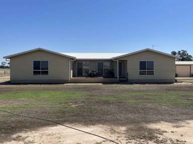 Farm Sold - NSW - Wee Waa - 2388 - Mix Farming Opportunity  (Image 2)