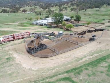 Farm Sold - NSW - Armidale - 2350 - Large Scale Breeding Platform With Renewable Energy Potential  (Image 2)