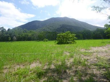 Farm For Sale - QLD - Bemerside - 4850 - 69.25 HA. (OVER 171 ACRES) BETWEEN INGHAM & CARDWELL!  (Image 2)