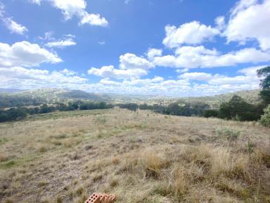 Farm Sold - NSW - Bannaby - 2580 - EXPANSIVE VIEWS  (Image 2)