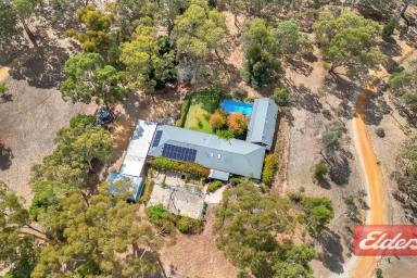 Farm Sold - SA - Williamstown - 5351 - UNDER CONTRACT BY CHRISTOPHER HURST  (Image 2)