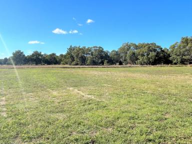 Farm Sold - NSW - Jindera - 2642 - “Attention!! The last block left!!”  (Image 2)