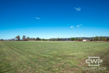 Farm Sold - NSW - Glen Innes - 2370 - 3.5 Acres Only Minutes From Town  (Image 2)