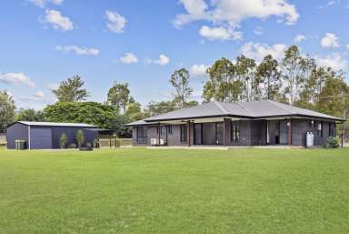 Farm Sold - QLD - Curra - 4570 - Sophisticated and Semi-Rural Perfection  (Image 2)