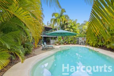Farm Sold - QLD - Booral - 4655 - Live the Dream With Views of Fraser Island!  (Image 2)