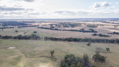 Farm For Sale - VIC - Graytown - 3608 - Introducing a Once-in-a-Lifetime Opportunity: 200 Acres of Pristine Land in Graytown  (Image 2)